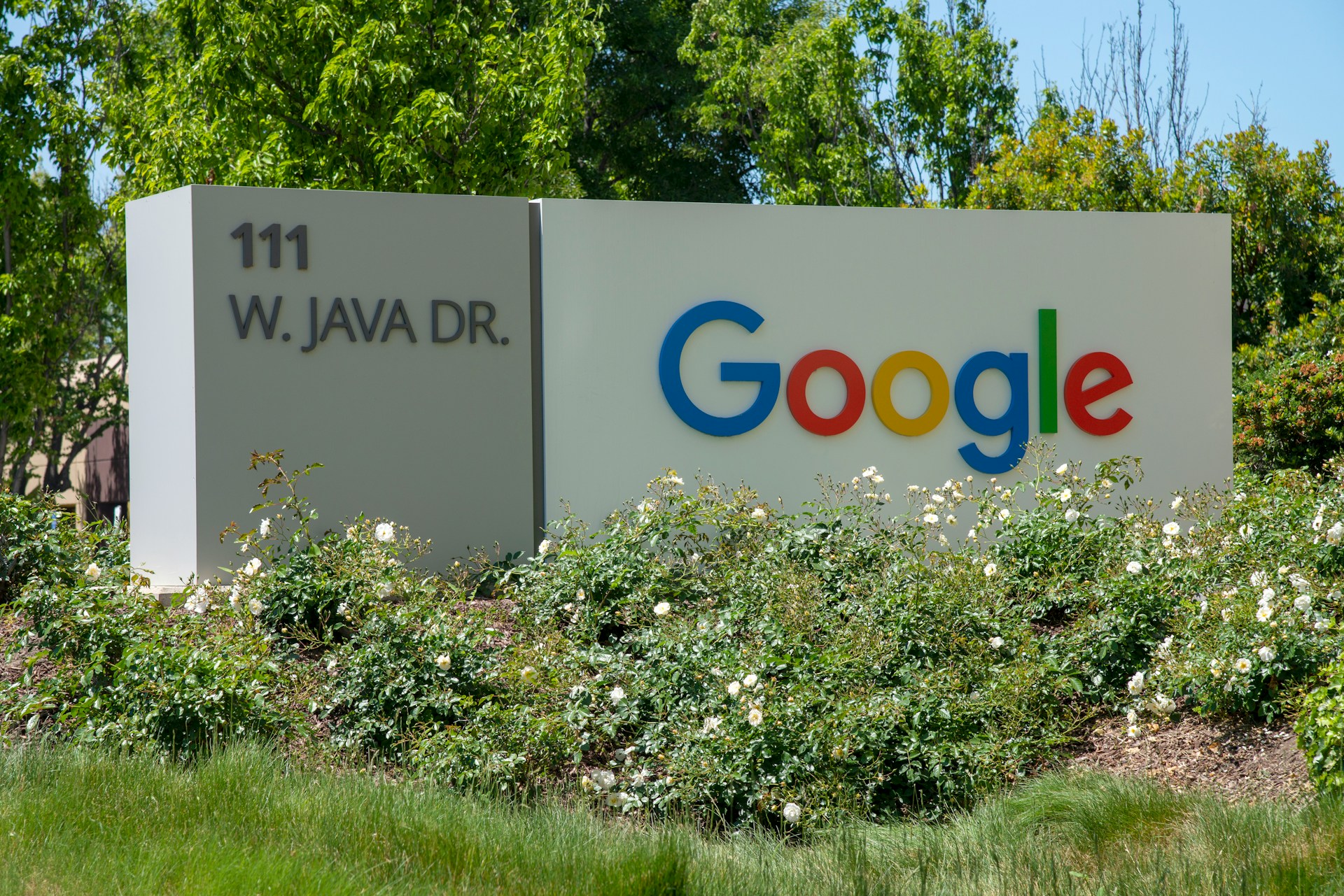 Apostando nas Big Techs: Google, Meta e Anúncios de Apostas no Brasil