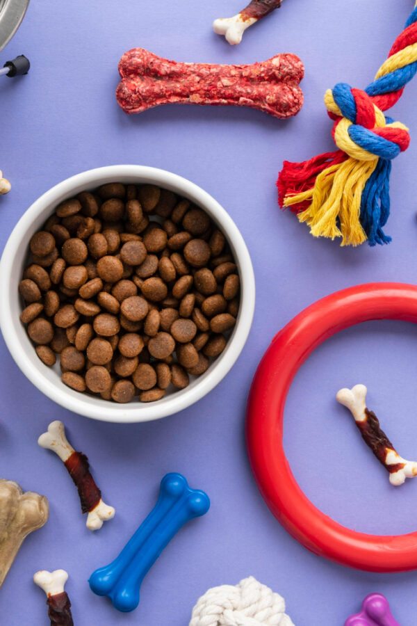 Como economizar nas compras do seu pet usando Cupom Petz e cupons exclusivos da Cupom TIFF